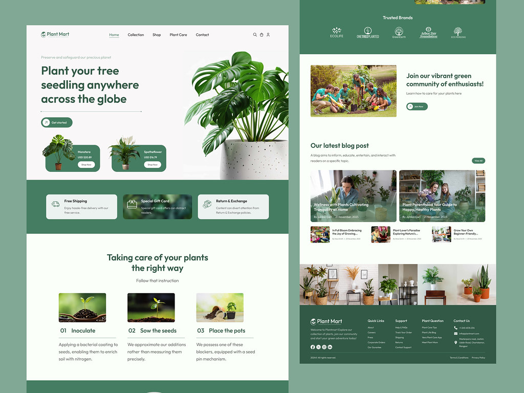 Web design that improves clarity, trust, and business usefulness.